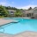 a swimming pool in a backyard