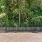 a fenced in area with trees in the back